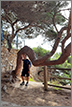 Hakala Pasi Juhani &mdash; licensed Barcelona tour guide